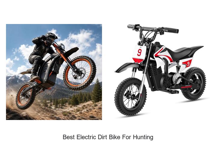 Top 15 Best Electric Dirt Bike For Hunting You Can’t Miss!