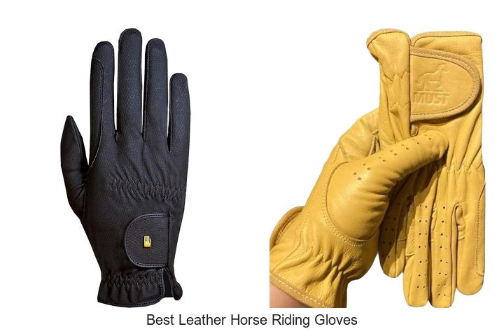 Top 12 Best Leather Horse Riding Gloves You Need Now