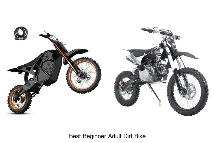 Top 12 Best Beginner Adult Dirt Bike Picks You Can’t Miss