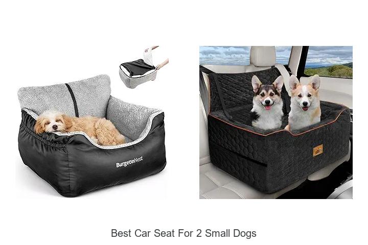Top 15 Best Car Seat For 2 Small Dogs You Can’t Miss!