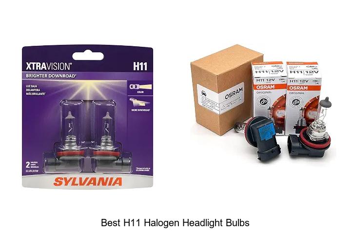 Top 12 Best H11 Halogen Headlight Bulbs That Blow Minds